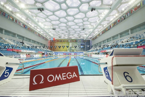 欧米茄荣耀见证2015年国际泳联游泳世界杯系
