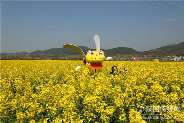 阳春三月踏春赏花 汉中万亩油菜花海盛开