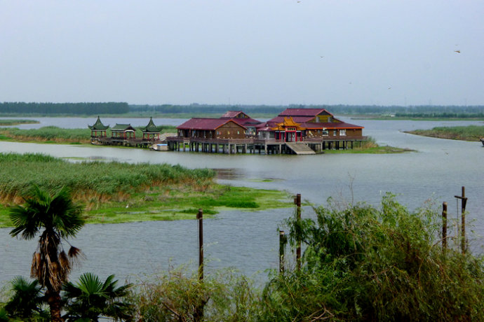 盐城:九龙口风景区 荷港观鱼绿波泛舟