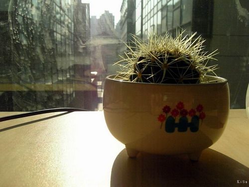 ���������һҳ