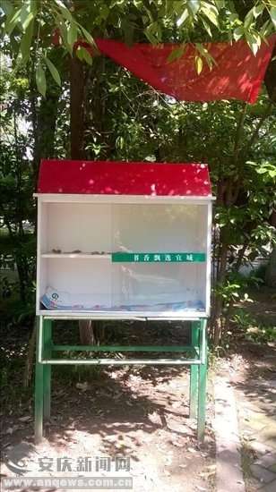 安庆市首次尝试室外图书漂流活动宣告“失败”（图）