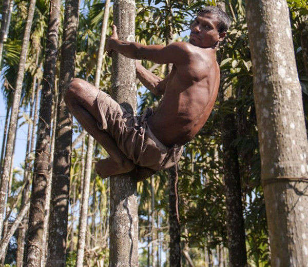 印度男子长37厘米长尾被尊为猴神化身（网页截图）