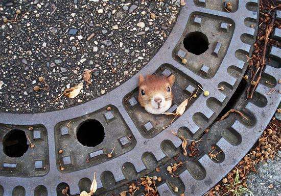 世俗、信念与真情 年度新闻图片佳作