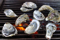 高端相机排行榜_高端单反相机排名(单反相机品牌)