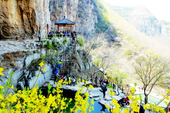 齐山风景区花海连人海