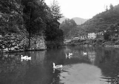 福建紧抓发展机遇 四区建设风生水起