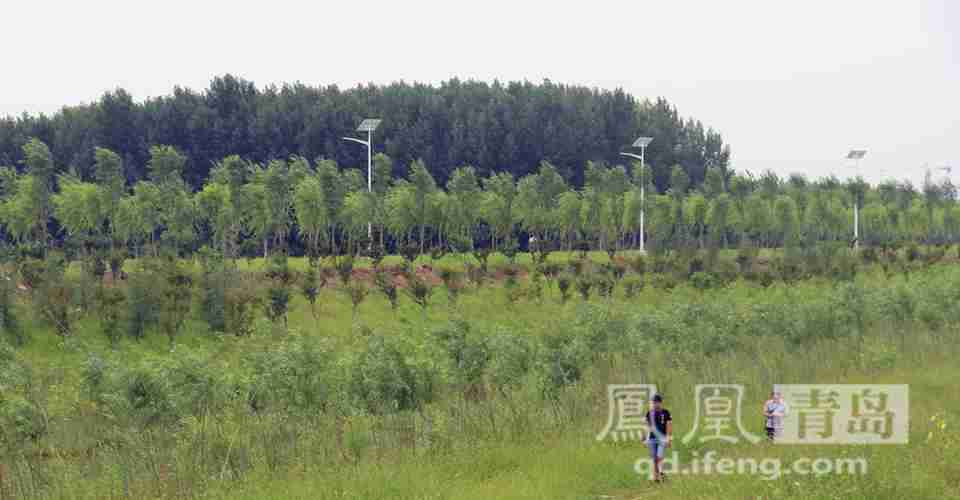 山石有灵性 风景独一绝之“佛•山•汤