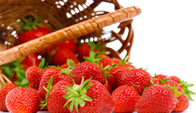 吃草莓能防白血病?