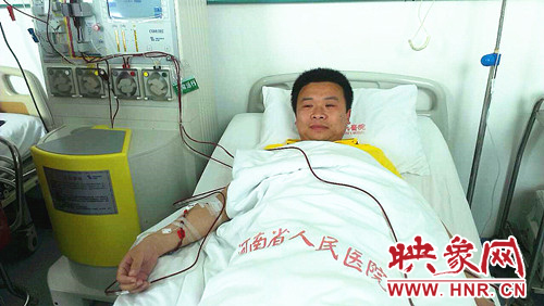 濮阳80后小伙王松捐献骨髓救得新婚青年生命_河南频道_凤凰网