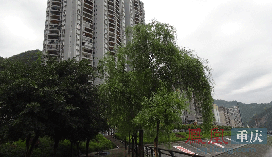 彭水gdp_2019年一季度重庆各区县GDP排名