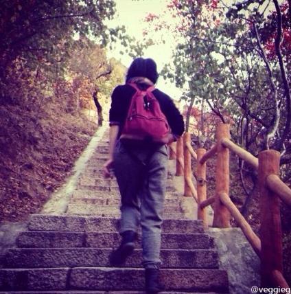 李嫣画漫画与妈妈登山 王菲晒图疑似思念女儿(图)