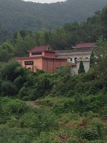 江西佛门血案:住持砍死女信徒 因争功德箱_商