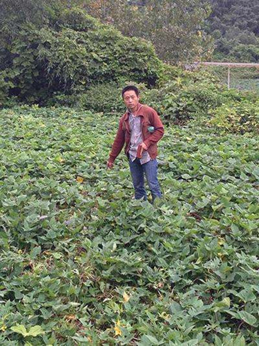 江西佛门血案:住持砍死女信徒 因争功德箱_商