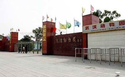 武汉动物园到底该不该搬?_湖北频道_凤凰网