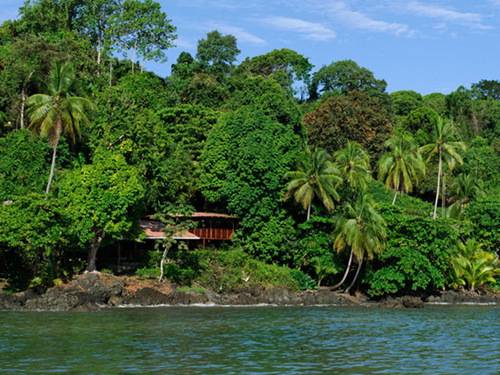 哥斯达黎加热带雨林探险 如置身世外桃源