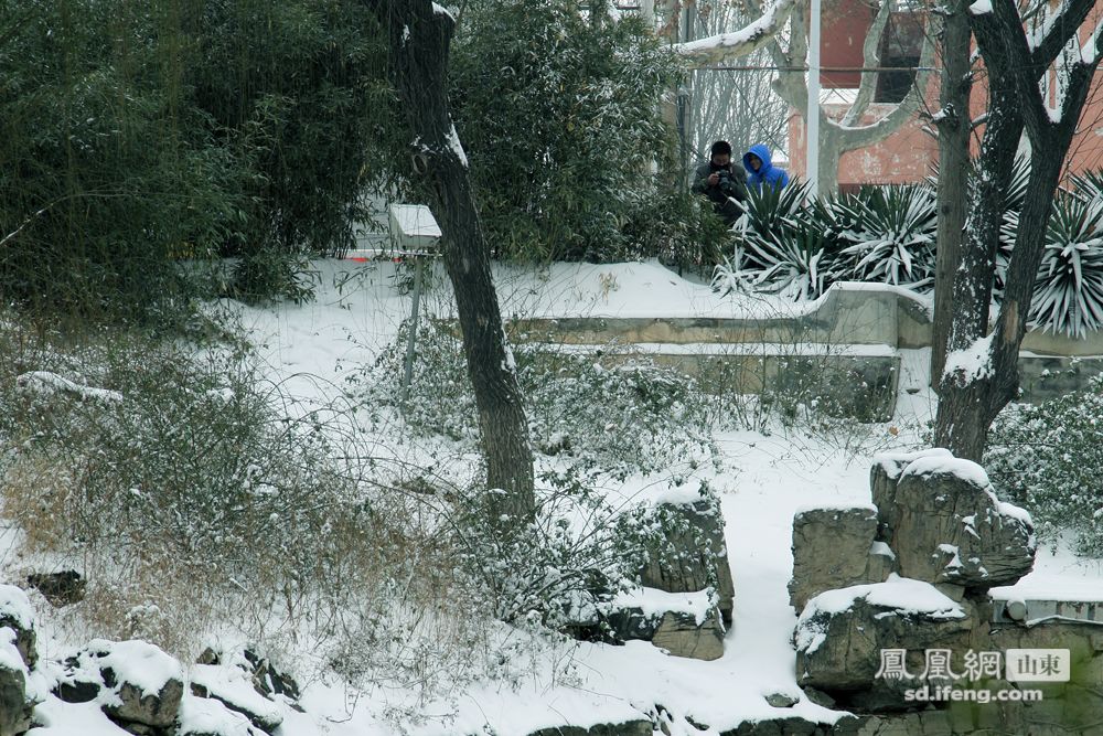 菏泽迎来2014年第一场瑞雪