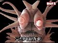 隐居深海异形炮眼海鳞虫被科学家拍下