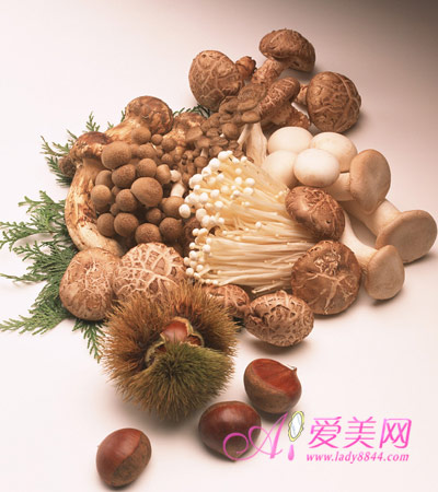  8种有益健康的菌菇食物冬季吃火锅少不了