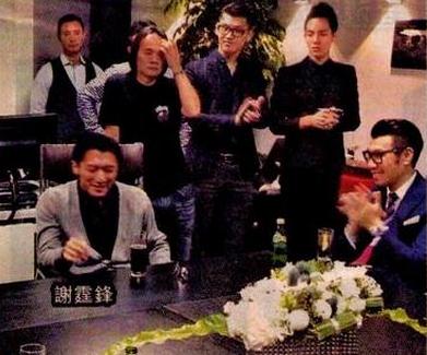 谢霆锋参股娱乐公司内地捞金 满腹大计架势足(图)