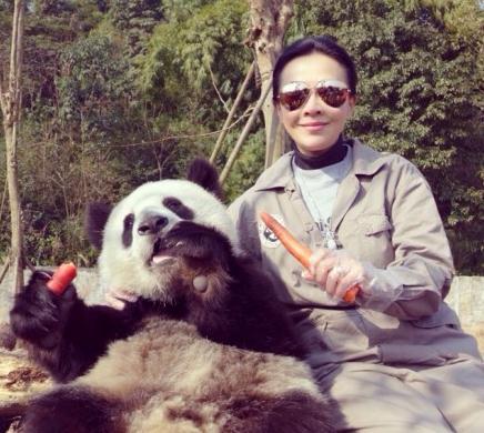 刘嘉玲晒与熊猫玩耍照 网友：女神真美(图)