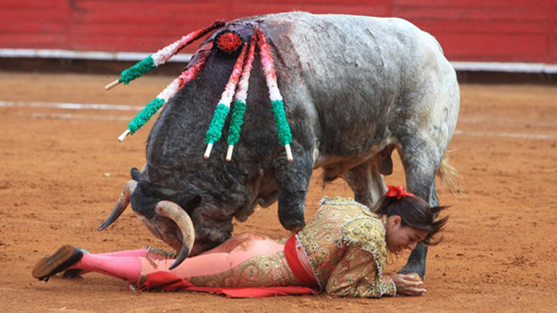 墨西哥斗牛赛现意外 女斗牛士被公牛顶飞