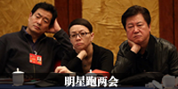 2014明星跑两会