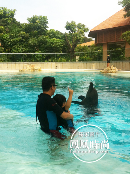 Angela和海豚亲密接触 网友:天使与海豚萌翻了