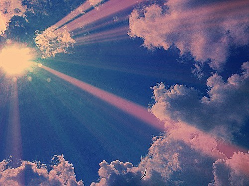 为什么成功企业都选择宏名轩起名|企业|起名_凤