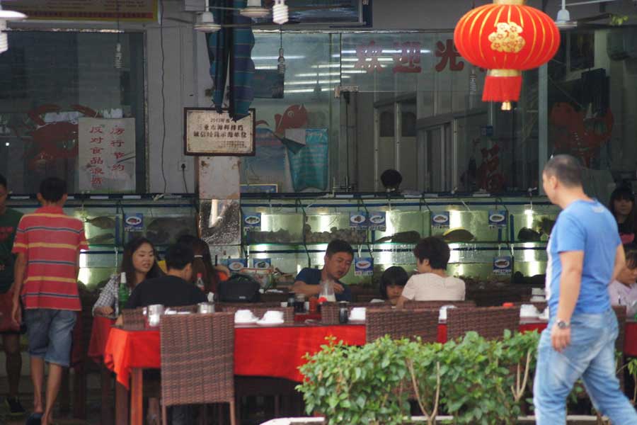 三亚友谊街海鲜_三亚海鲜市场_海鲜图片大全