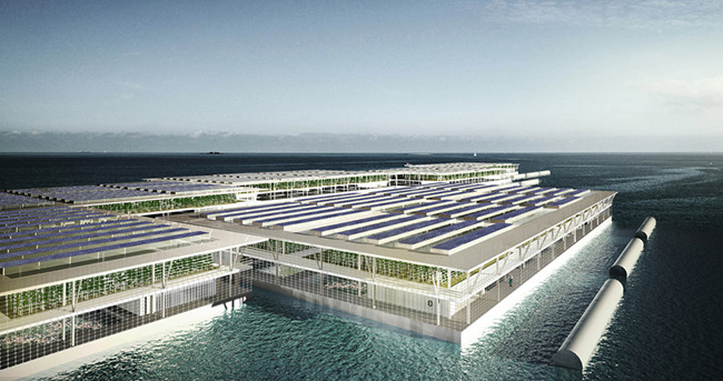 未来农业转至海上 漂浮农场解决世界粮食危机