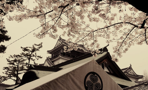 张家瑜:罗兰·巴特的日本印象|张家瑜|罗兰·巴