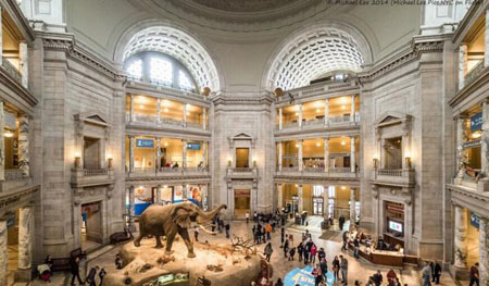 (图注2:华盛顿美国国家自然历史博物馆是史密森学会所辖规模最大的