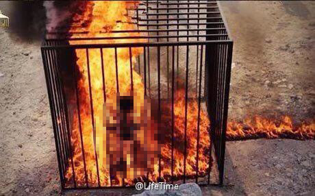 [视频]约旦飞行员莫亚兹·卡萨斯贝被ISIS伊斯兰国火刑烧死|图