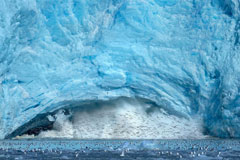 冰川崩塌瞬间 上万只鸟从冰洞飞出