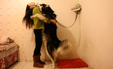 热门：实拍网络女主播 “波姐”代言游戏