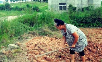 那些年最牛“钉子户”的最终结局
