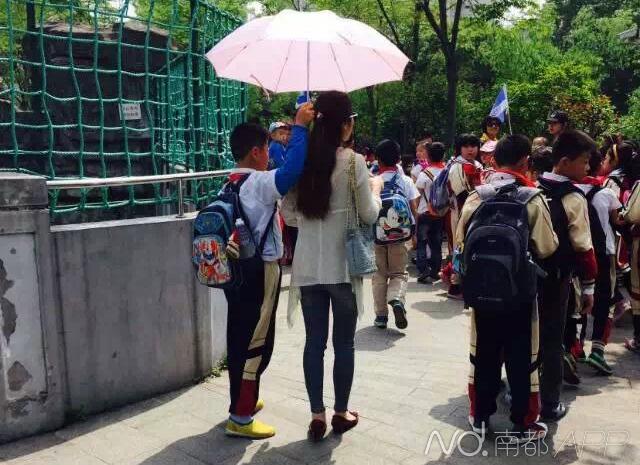 上海市教委排查网传学生出游为教师打伞一事