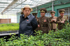 金正恩视察苗圃
