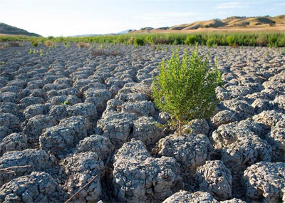 加州连续4年大旱致湖泊干涸