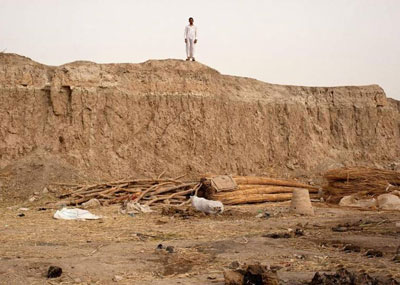 被萨达姆排干的沼泽地上生活的人