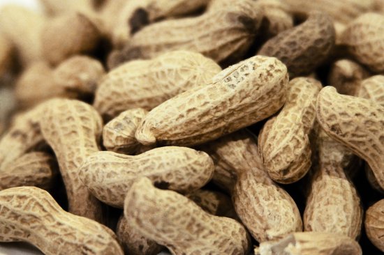 花生和花生皮的功效与作用