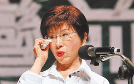 专家：洪秀柱选战无经验 对政治理想太天真