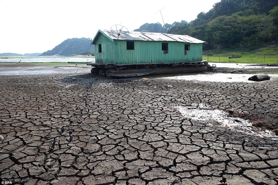 2015年10月25日报道，巴西亚马逊热带雨林正遭受着百年来最大的一次干旱。由于常年来森林被破坏，全球温室效应，使得亚马逊雨林正在逐渐干涸。