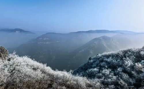 柳树口镇人口_暴雨无情人有志 泽州县柳树口镇水毁路段抢修记(3)