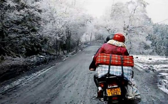 支付宝上线春运返乡险:出交通意外最高赔10