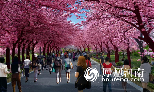 樱花大道效果图