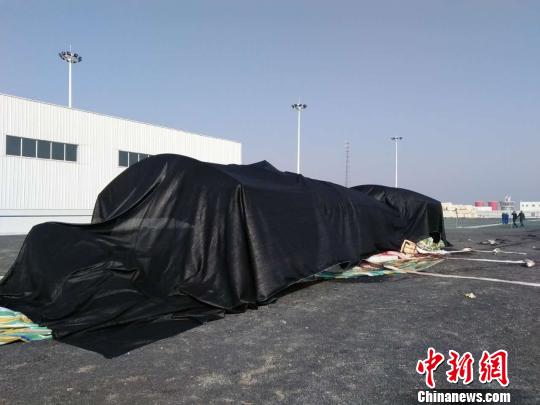 江苏搁浅抹香鲸处置方案:1条运大连塑化保存(