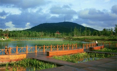 森林之梦清肺之旅 安徽省内植树节赏绿全攻略