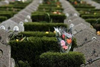 南京50多位老人遭遇墓葬投资骗局 300多万养
