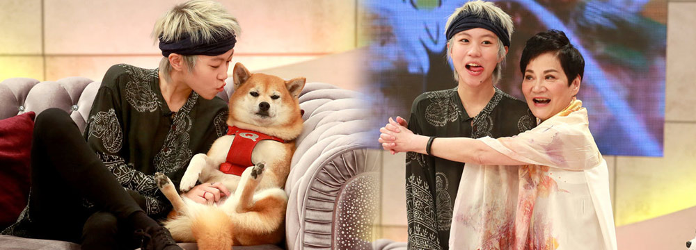 窦靖童竟也少女心！“沙发咚”狗狗根本停不下来
